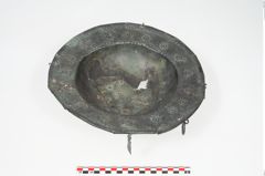 Foto von Bronzebreitrandfußschale (NHMW-PRAE-025213)
